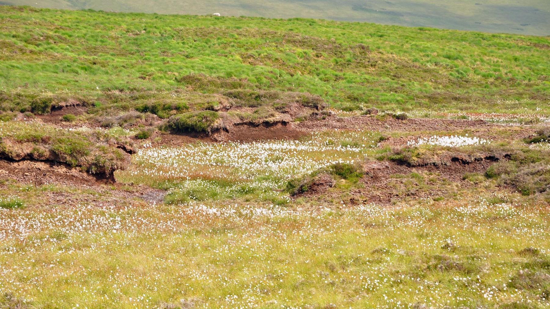 2013-07-22_073.JPG - PeBov 2013