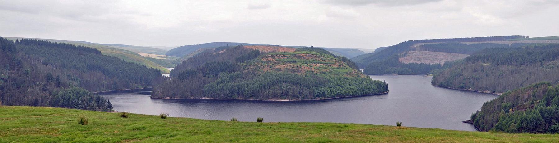 2013-07-23_011-013.jpg - PeBov 2013