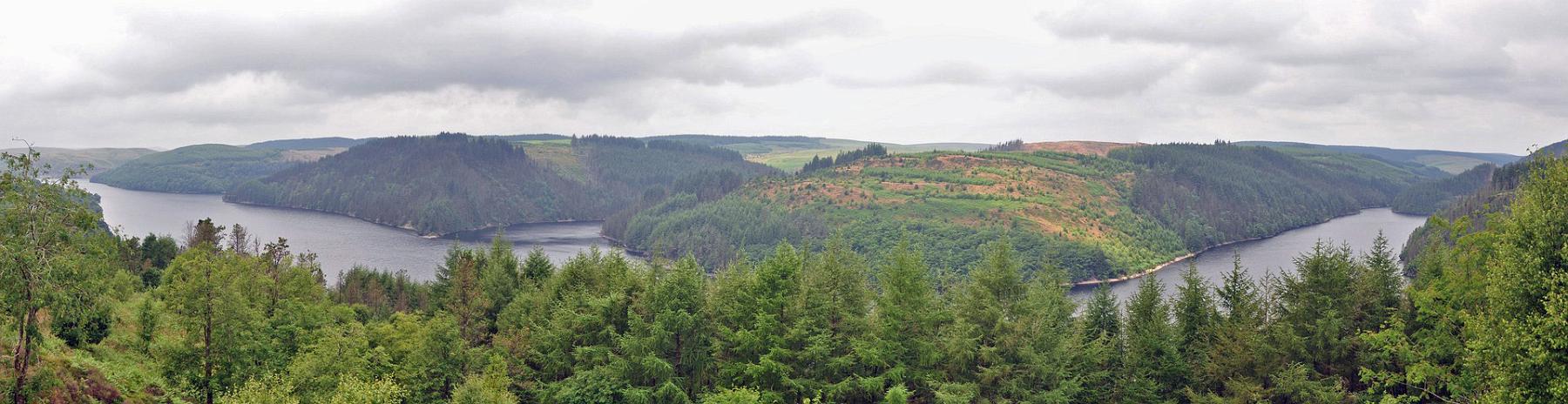 2013-07-23_014-016.jpg - PeBov 2013