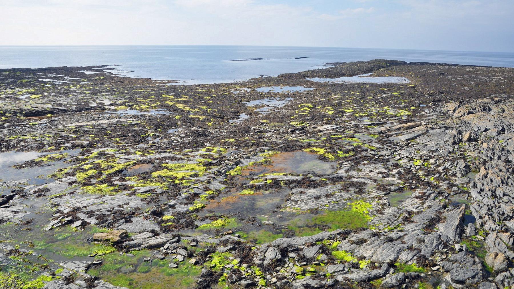 2013-07-23_043.JPG - PeBov 2013