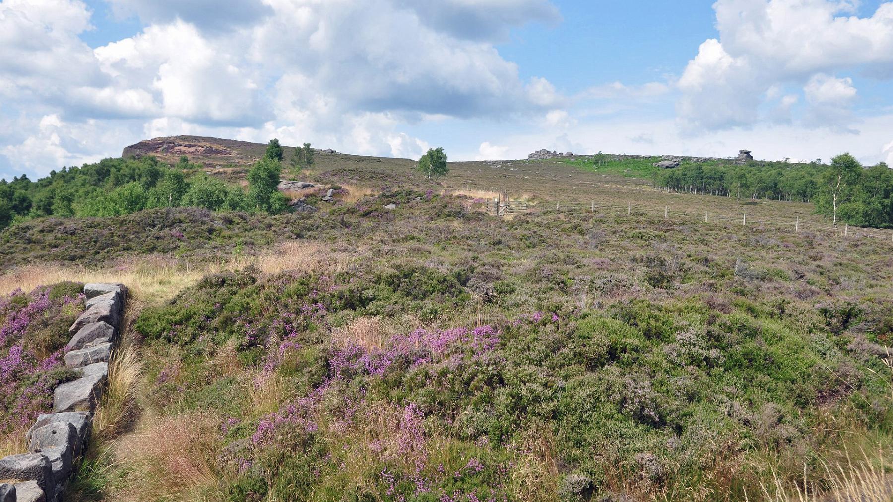 2013-07-26_040.JPG - PeBov 2013