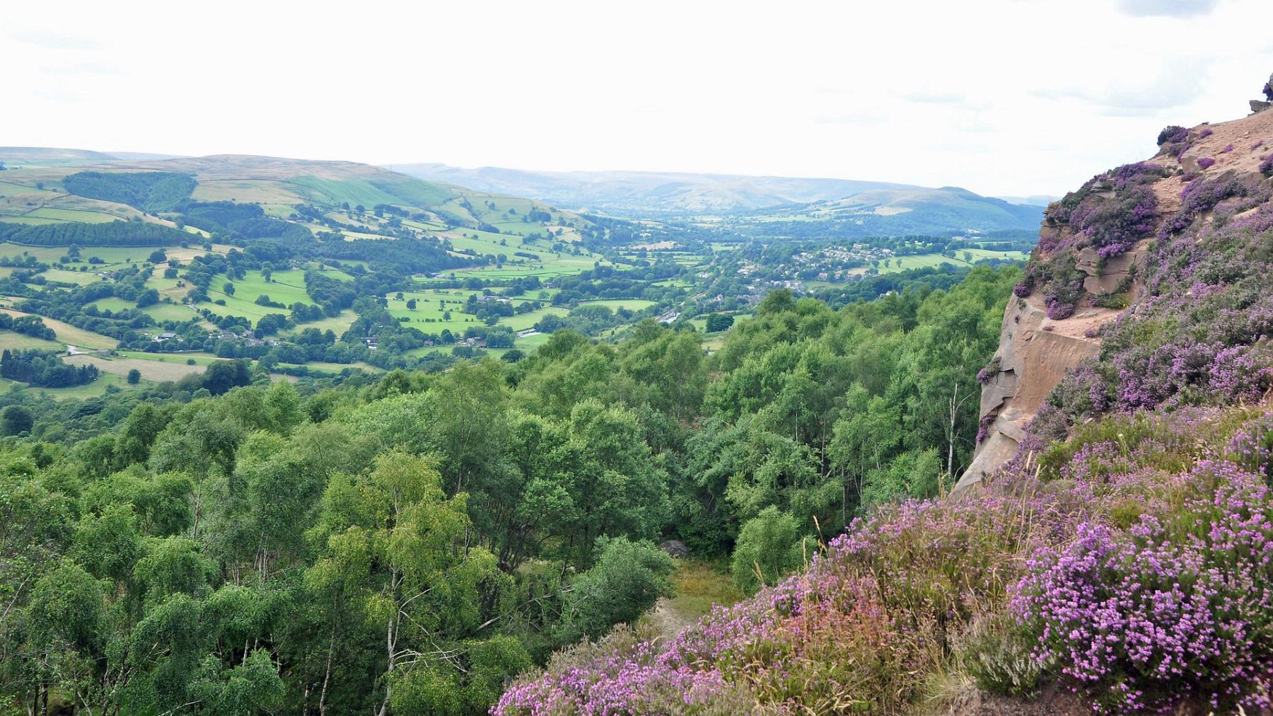 2013-07-26_046.JPG - PeBov 2013