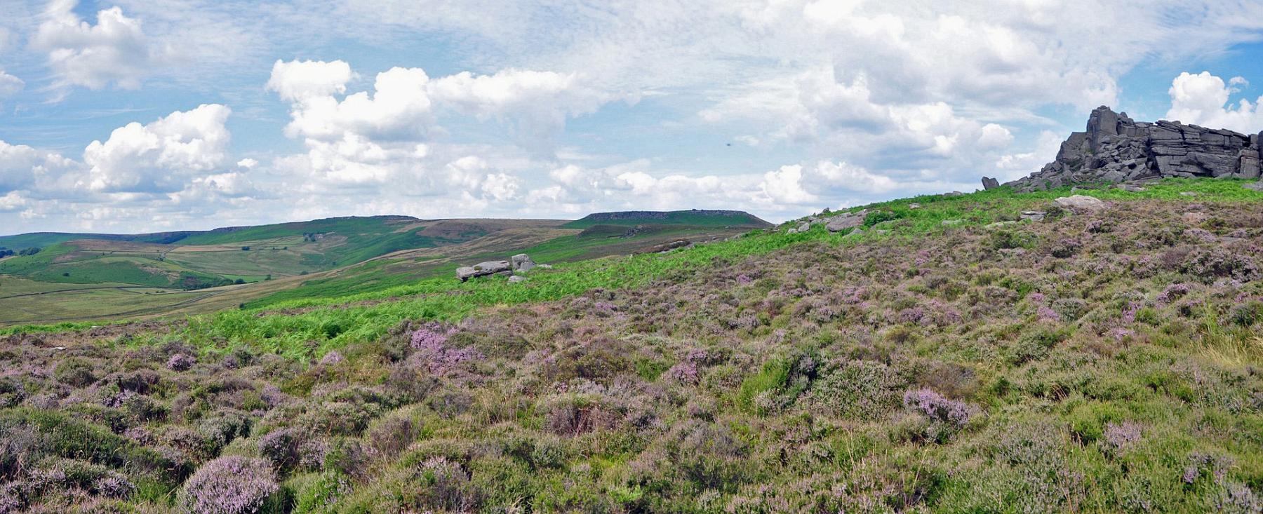 2013-07-26_052-053.jpg - PeBov 2013