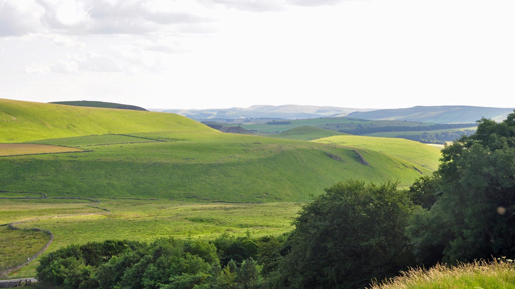 2013-07-26_076.JPG - PeBov 2013