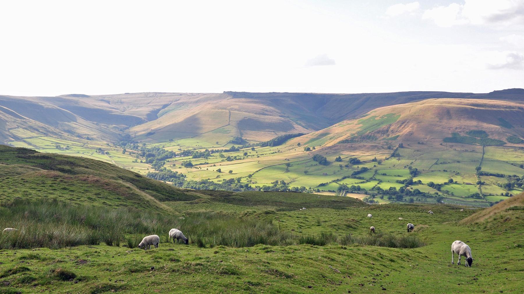 2013-07-26_078.JPG - PeBov 2013