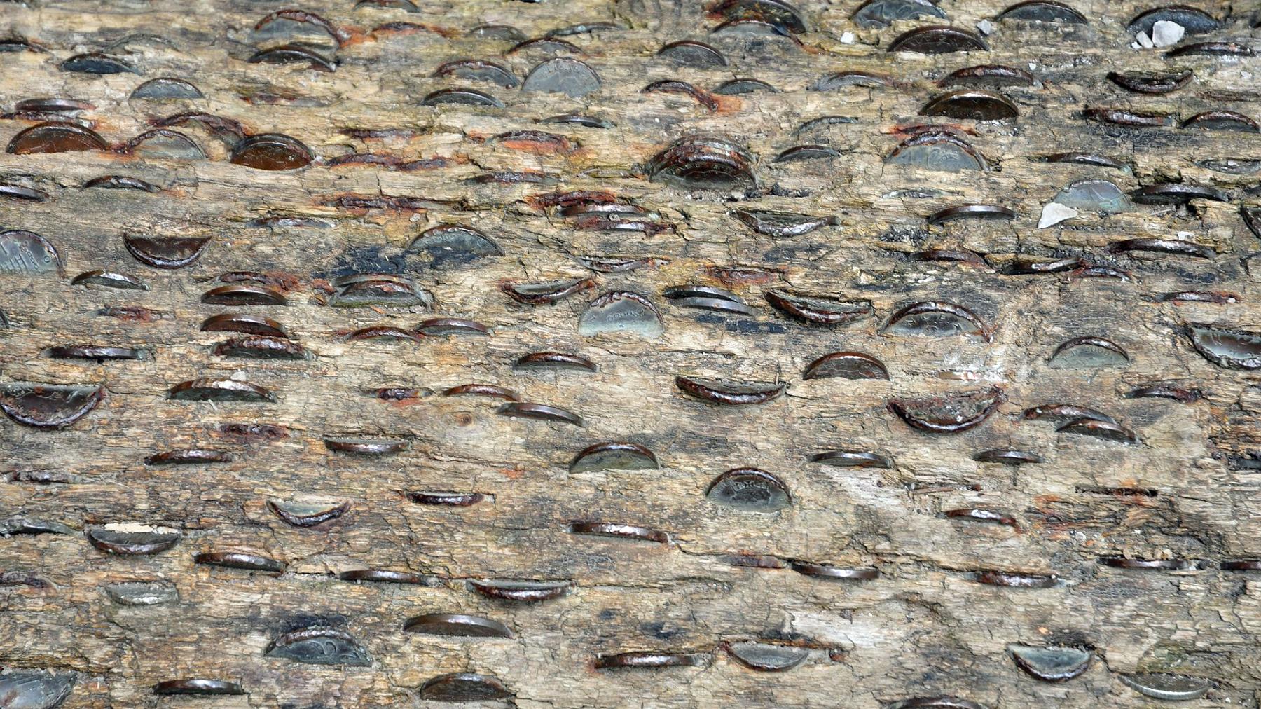 2013-07-27_010.JPG - PeBov 2013