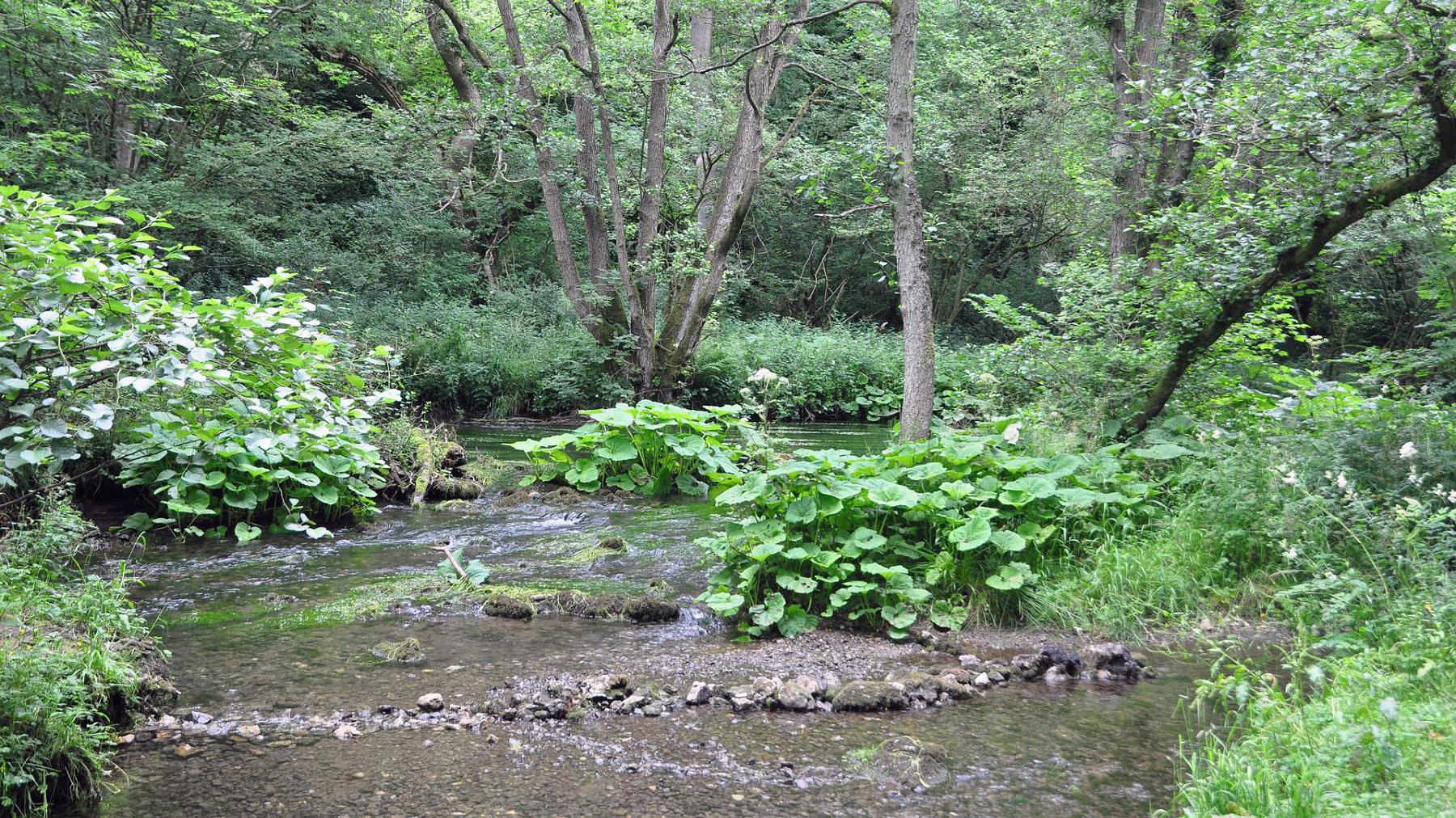 2013-07-27_011.JPG - PeBov 2013