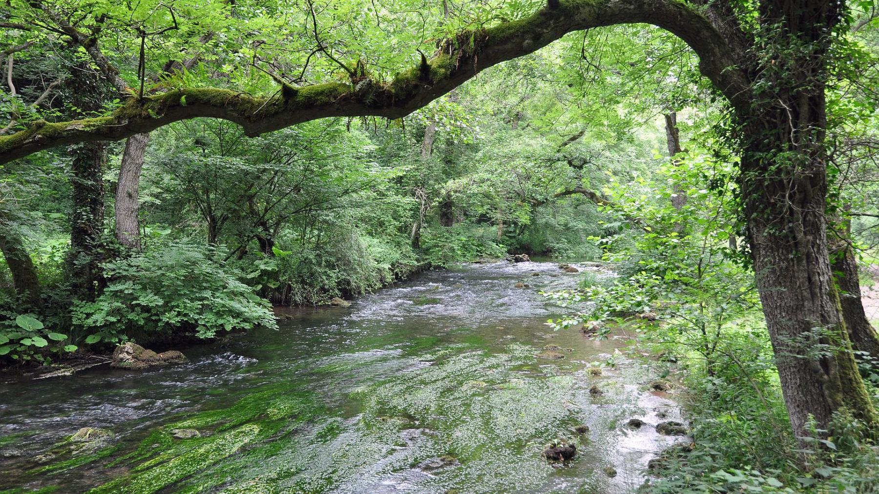 2013-07-27_014.JPG - PeBov 2013