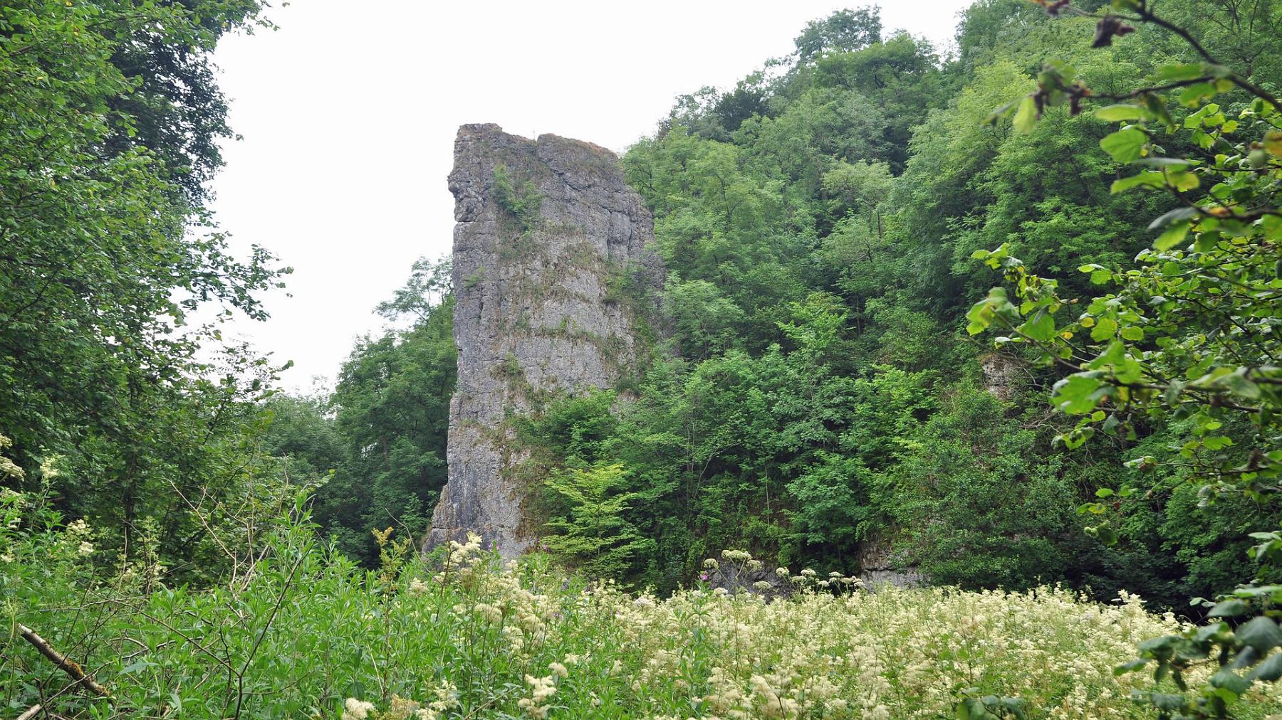 2013-07-27_019.JPG - PeBov 2013