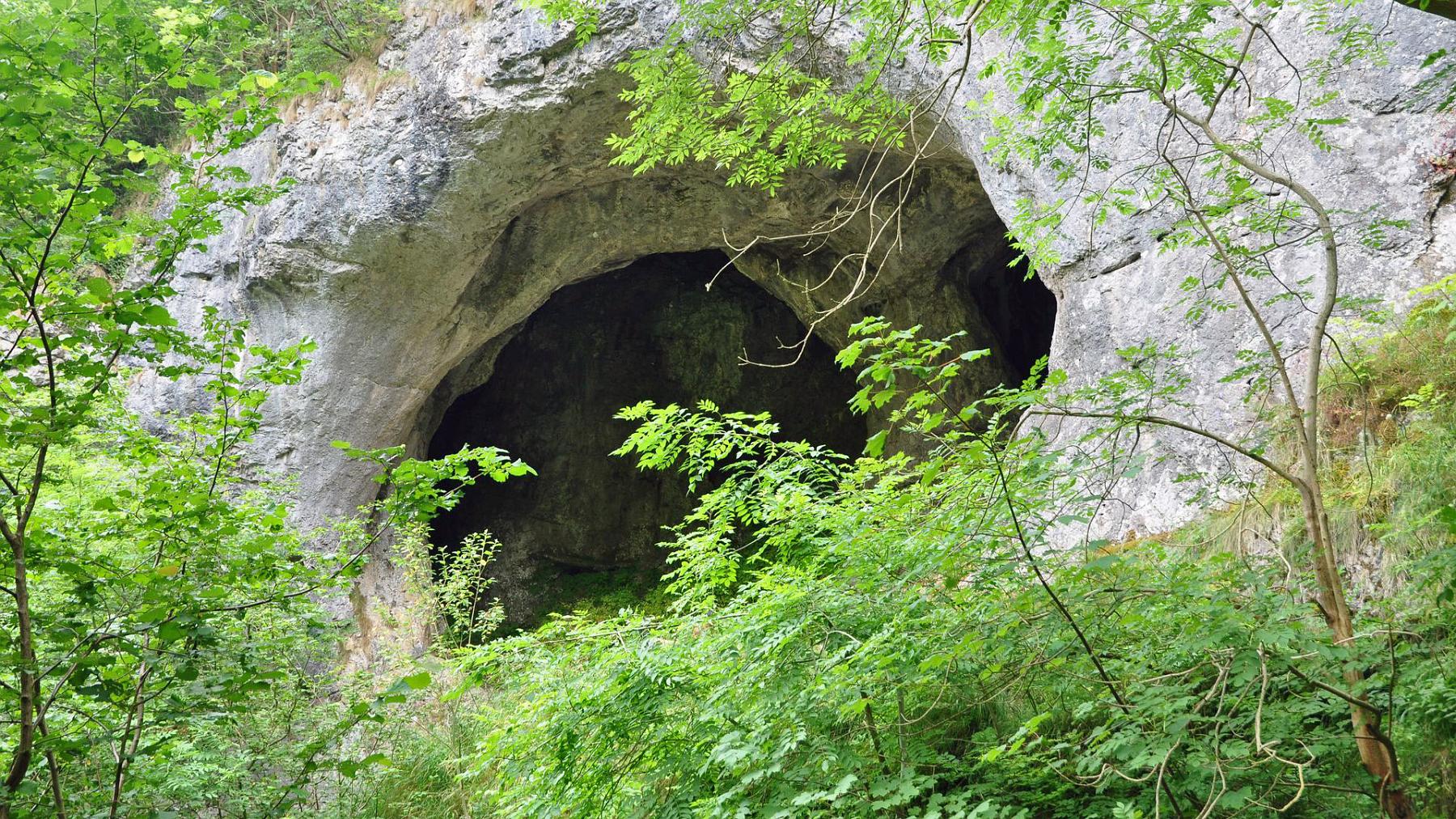 2013-07-27_020.JPG - PeBov 2013