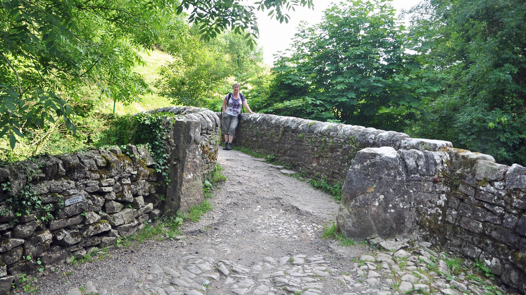 2013-07-27_030.JPG - PeBov 2013