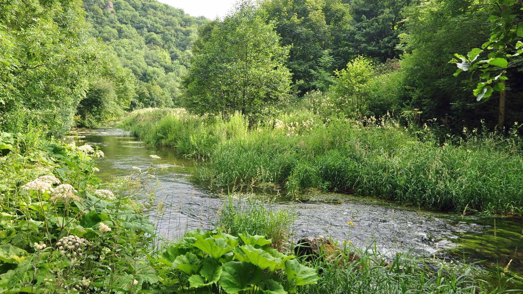 2013-07-27_032.JPG - PeBov 2013