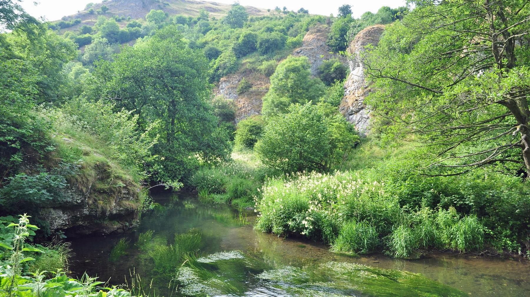 2013-07-27_034.JPG - PeBov 2013