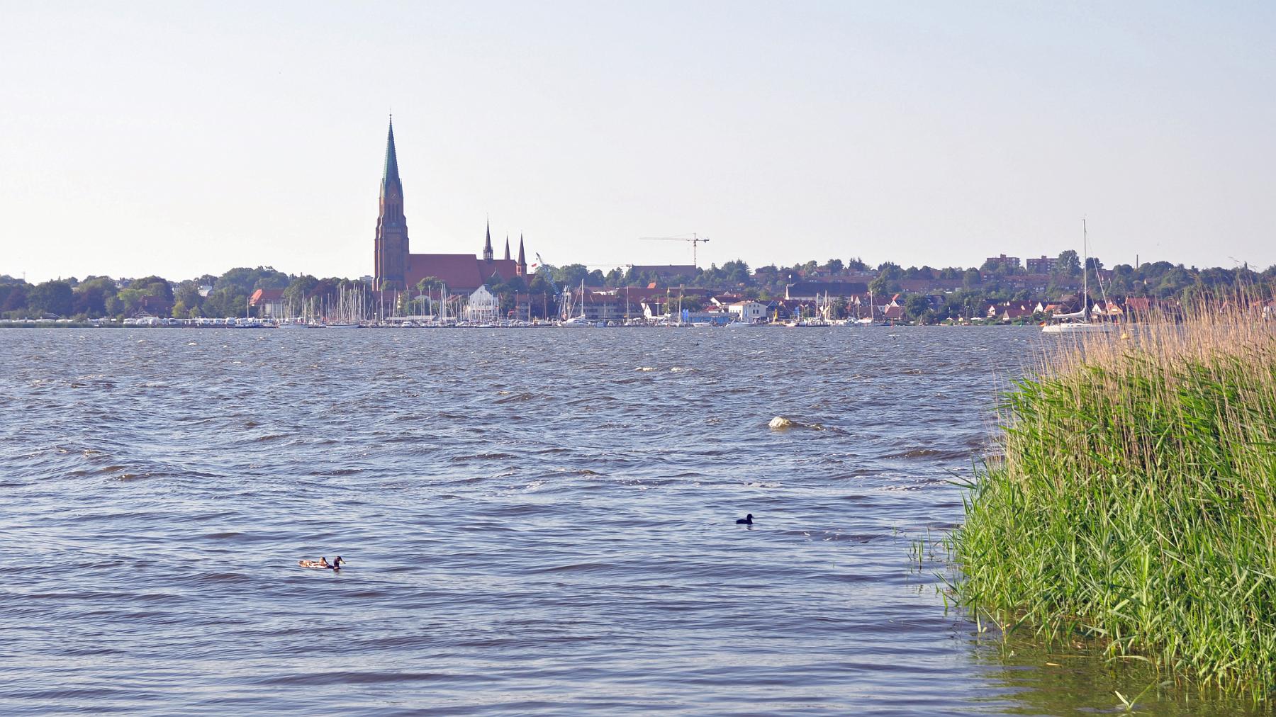 2014-07-09_005.JPG - PeBov 2013