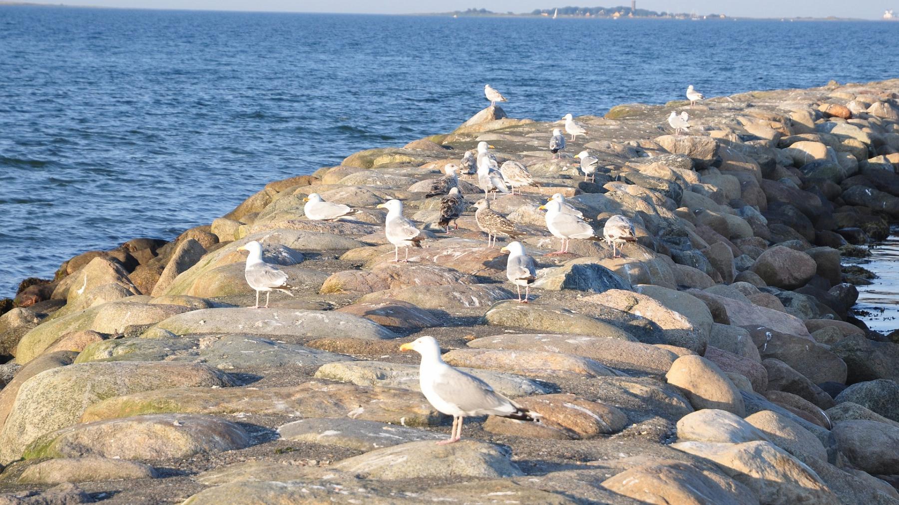 2014-07-10_012.JPG - PeBov 2013