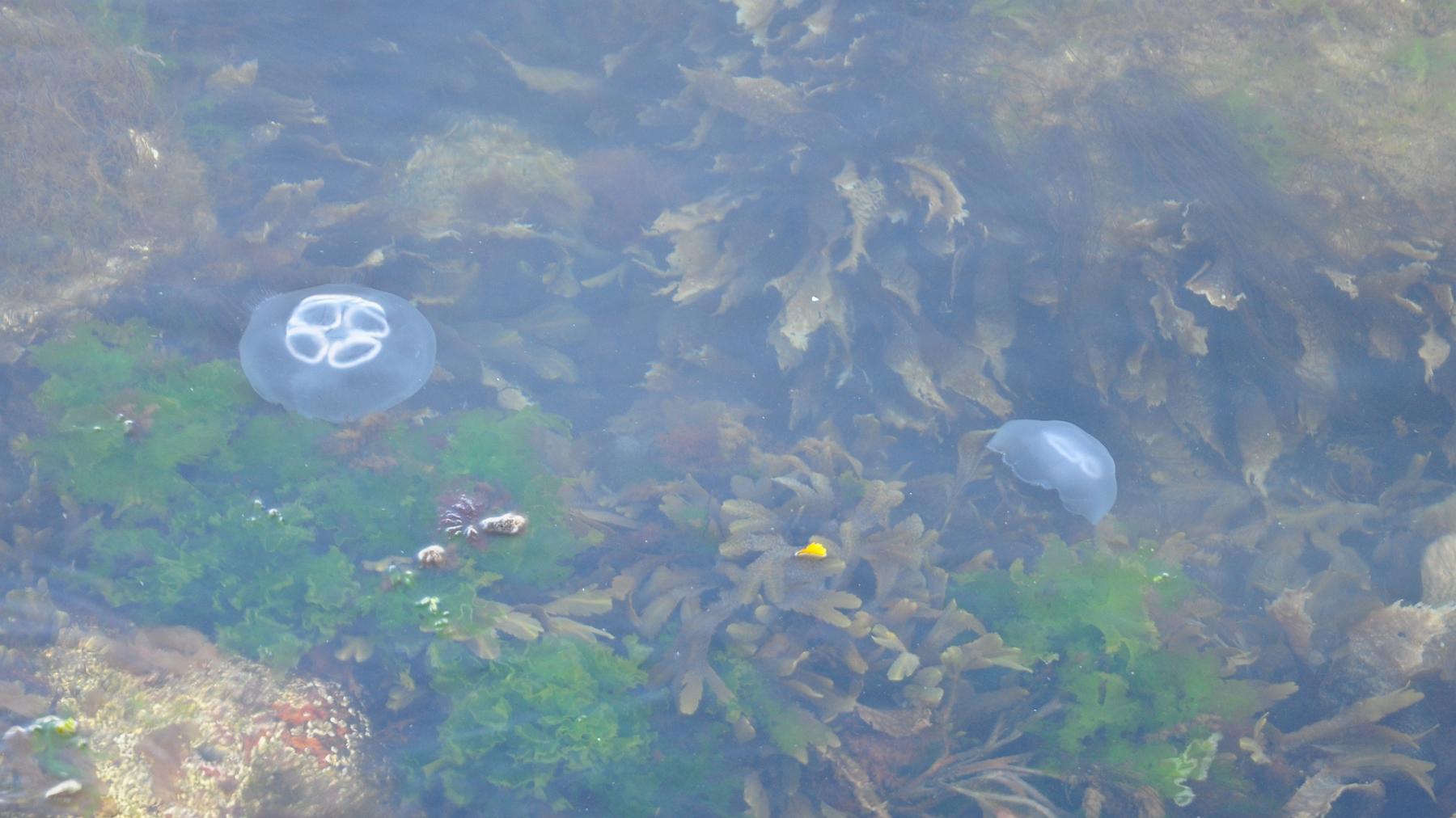 2014-07-10_013.JPG - PeBov 2013