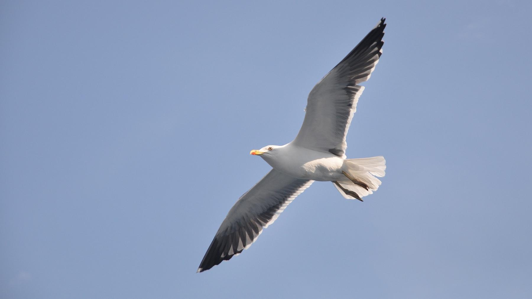 2014-07-11_044.JPG - PeBov 2013