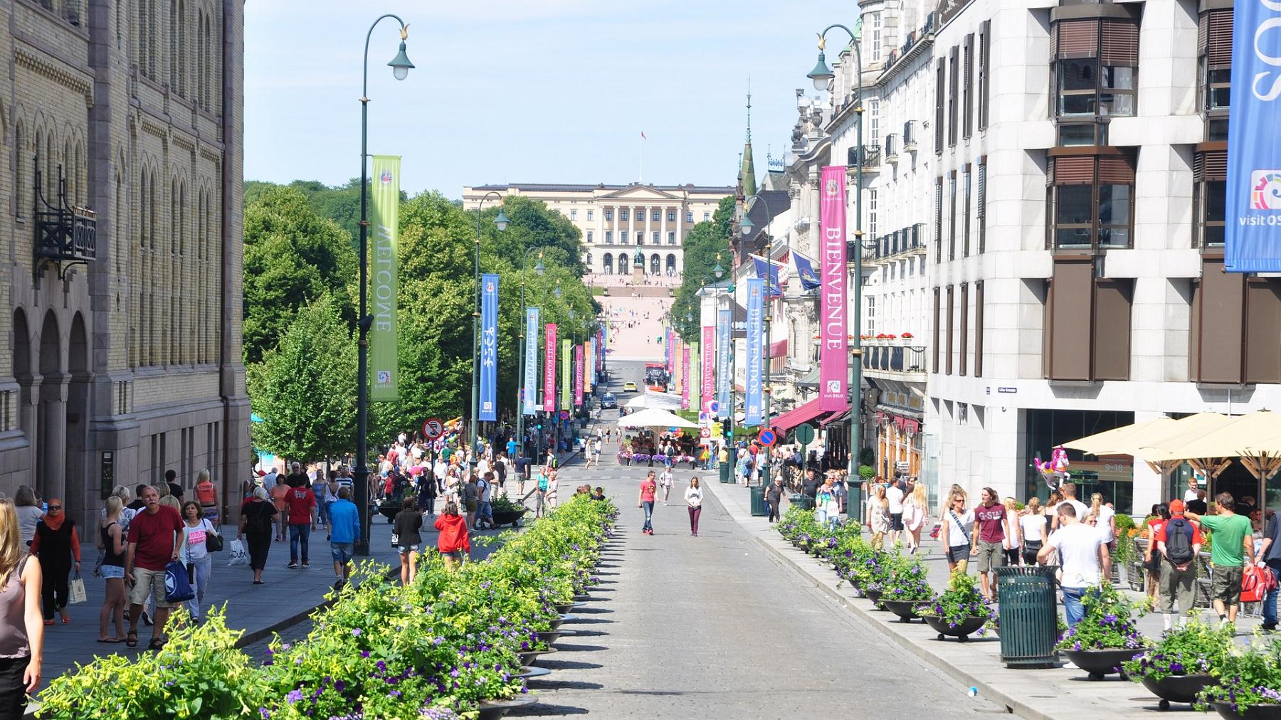 2014-07-12_016.JPG - PeBov 2013