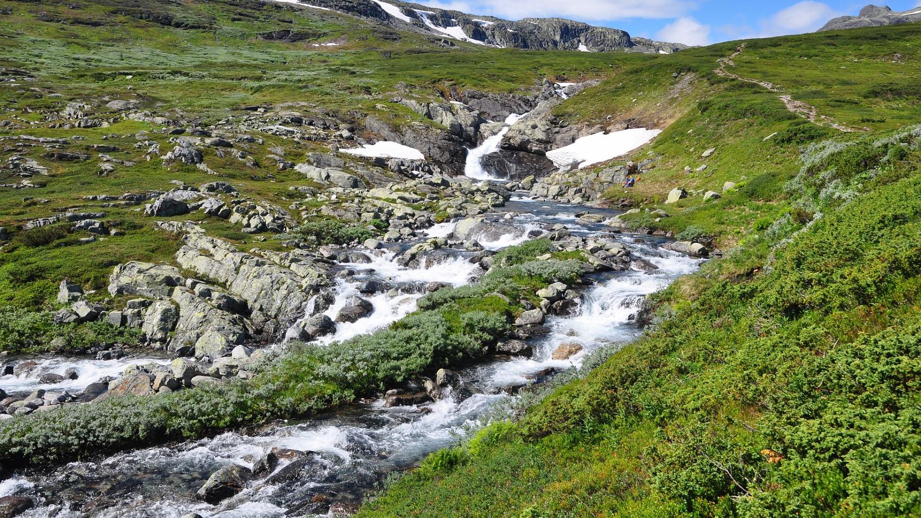 2014-07-16_037.JPG - PeBov 2014