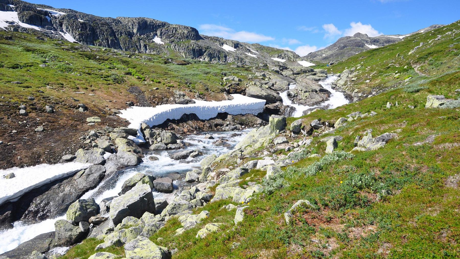 2014-07-16_048.JPG - PeBov 2014