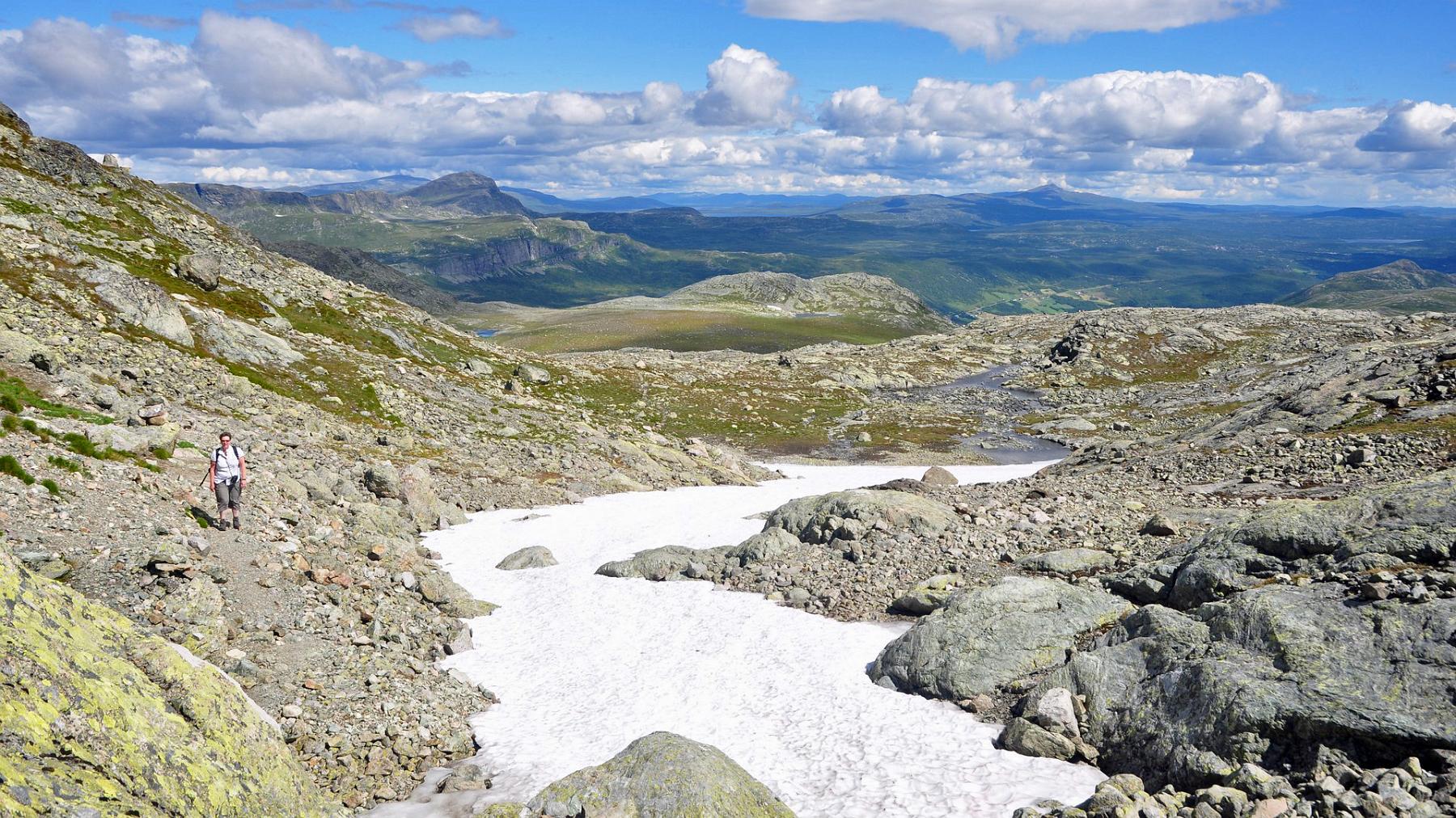 2014-07-16_088.JPG - PeBov 2014