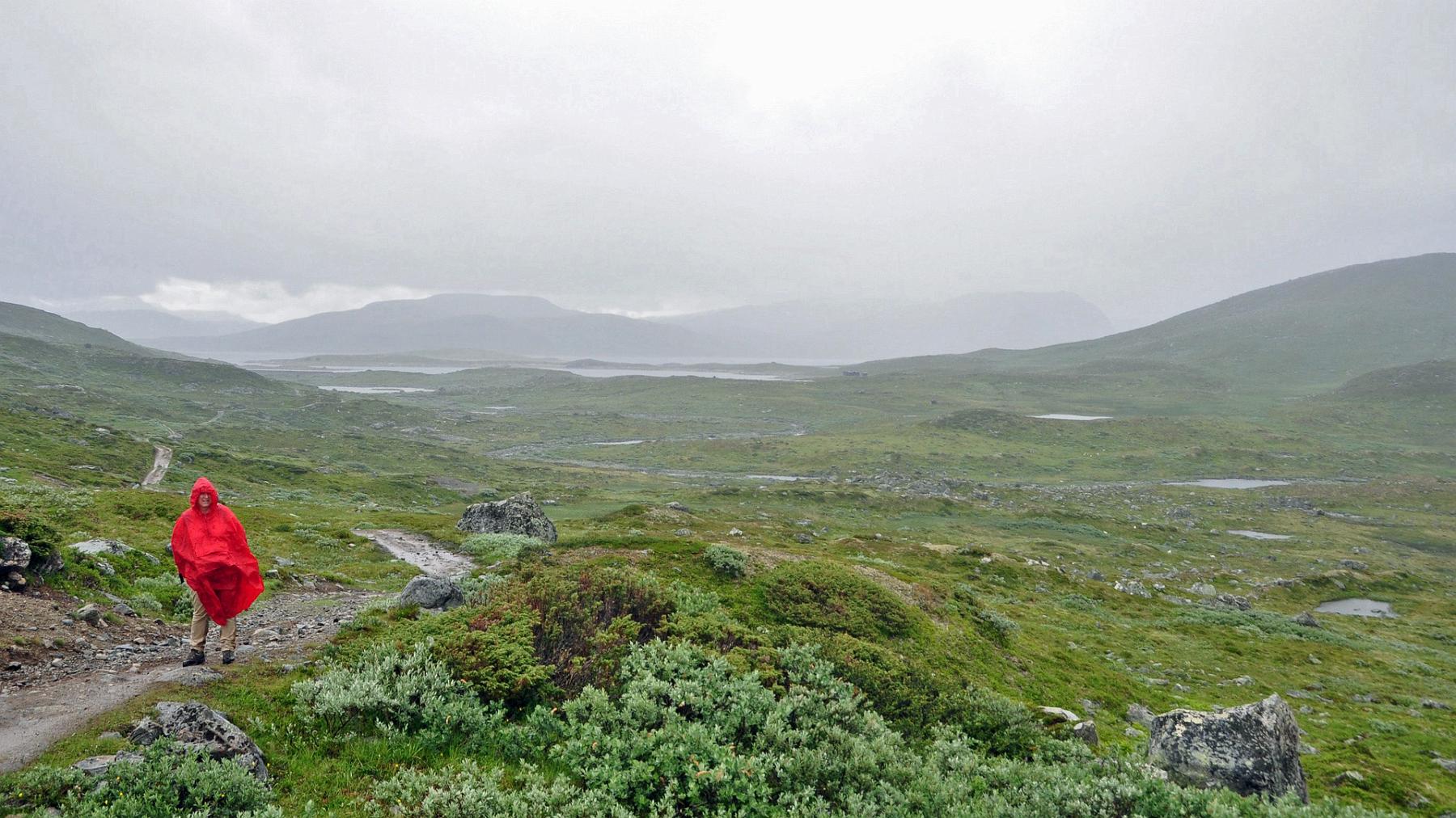 2014-07-17_007.JPG - PeBov 2014