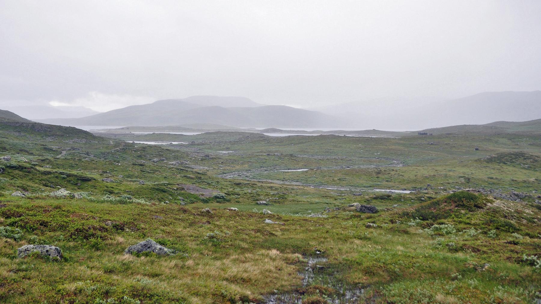 2014-07-17_010.JPG - PeBov 2014