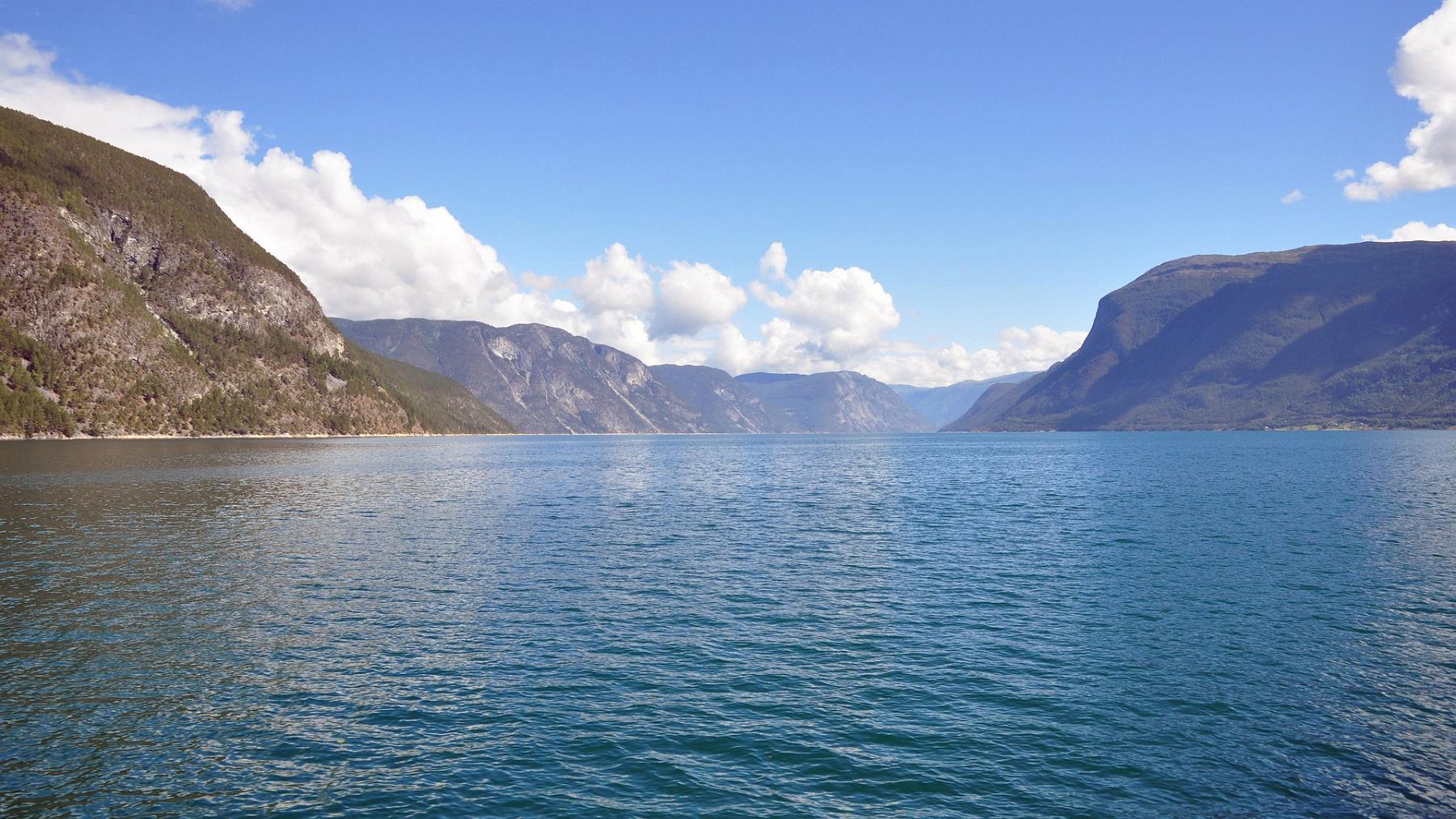 2014-07-18_008.JPG - PeBov 2014