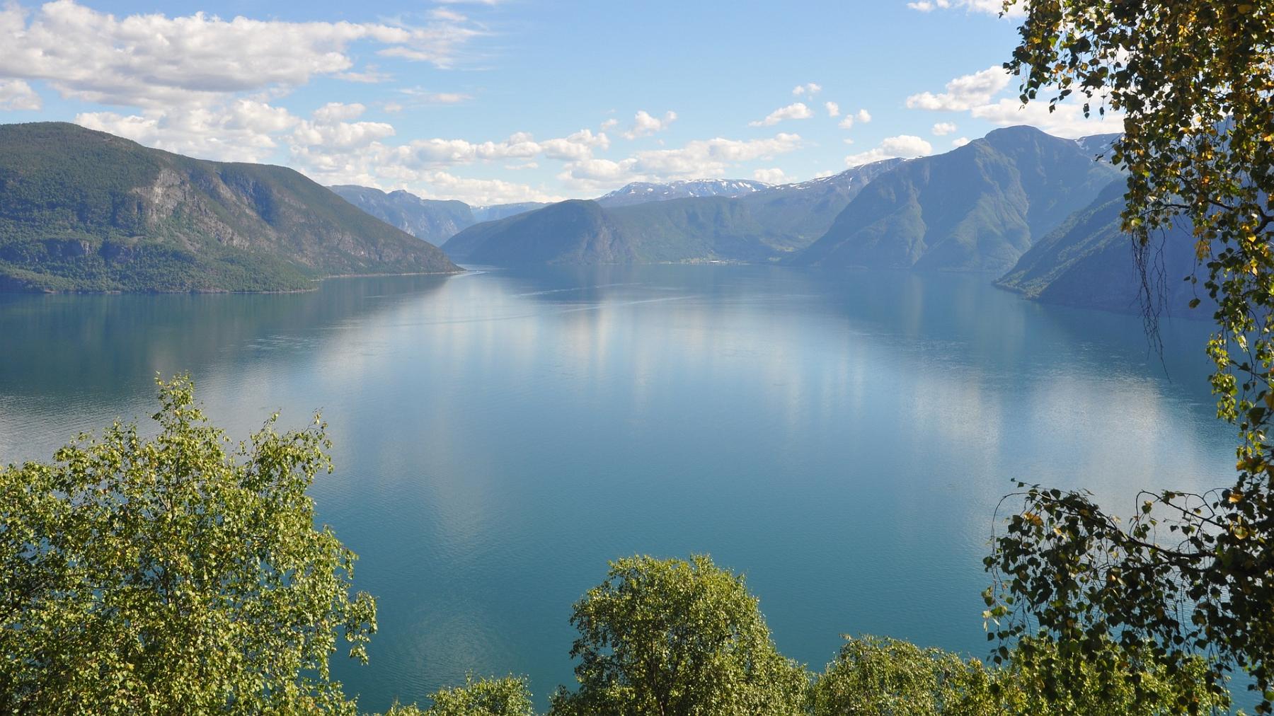 2014-07-19_042.JPG - PeBov 2014