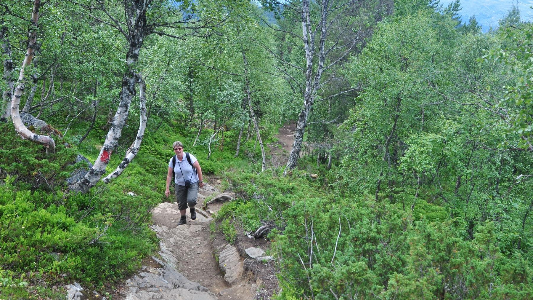 2014-07-20_011.JPG - PeBov 2014