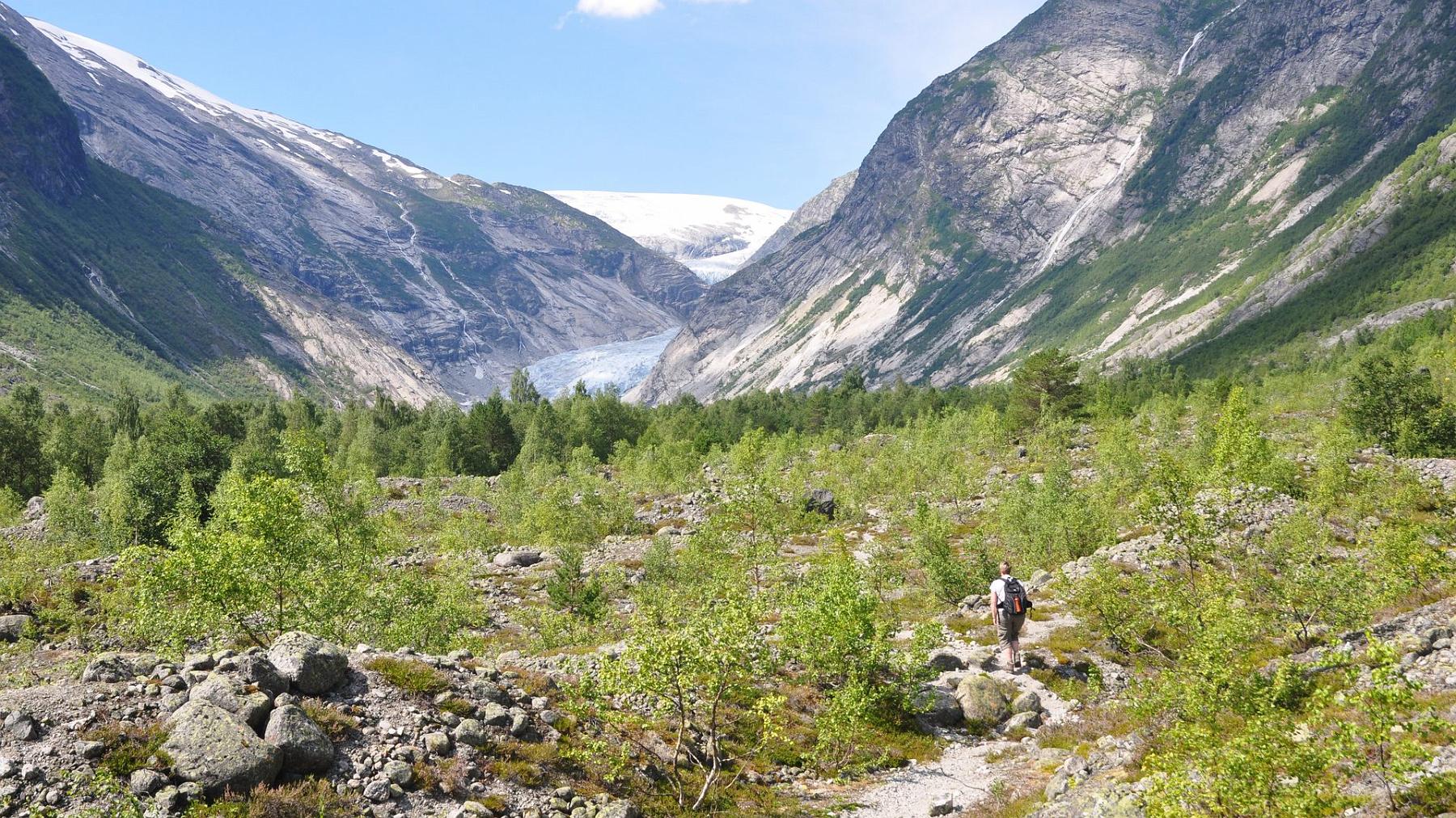 2014-07-21_011.JPG - PeBov 2014