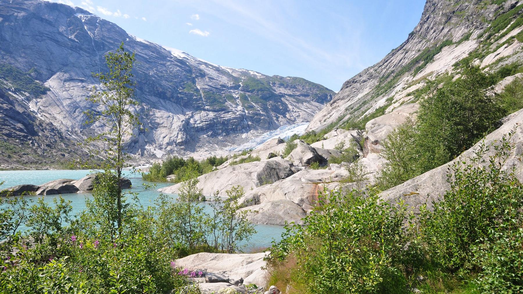 2014-07-21_019.JPG - PeBov 2014