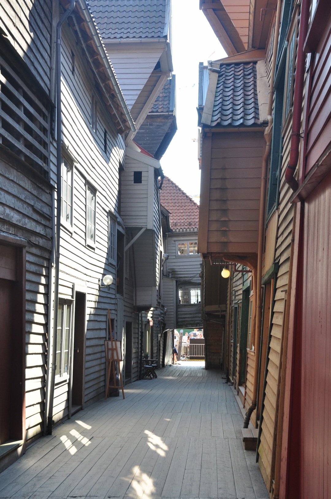 2014-07-24_050.JPG - PeBov 2014