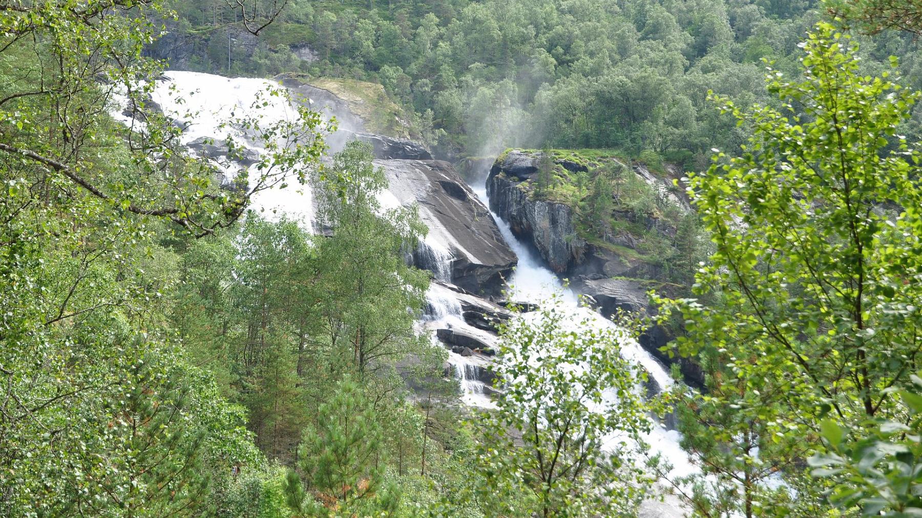 2014-07-25_010.JPG - PeBov 2014