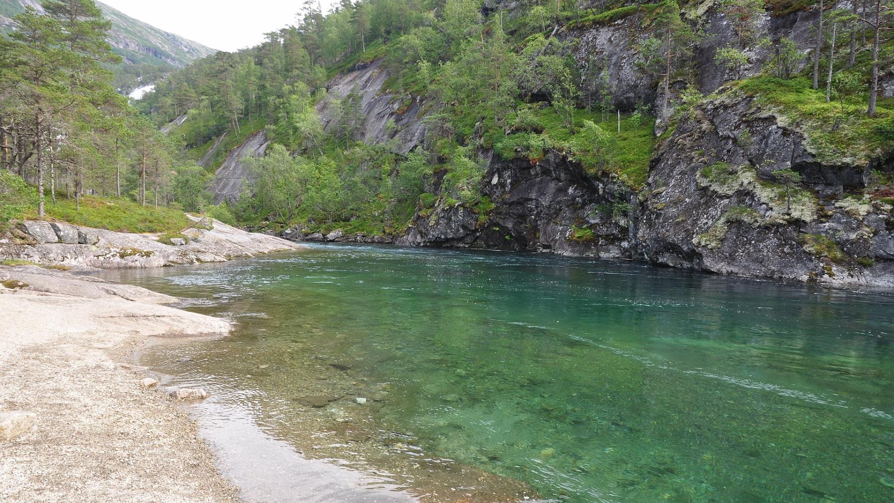 2014-07-25_013.JPG - PeBov 2014