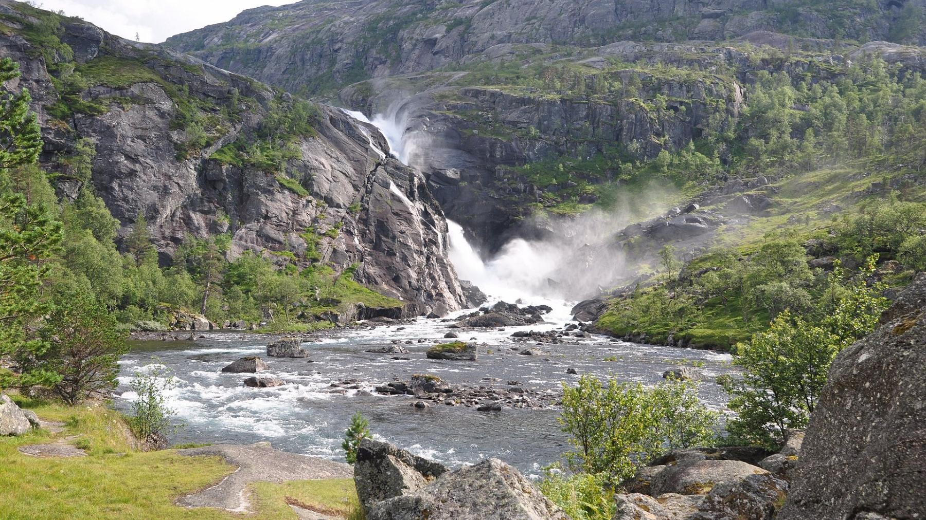 2014-07-25_042.JPG - PeBov 2014