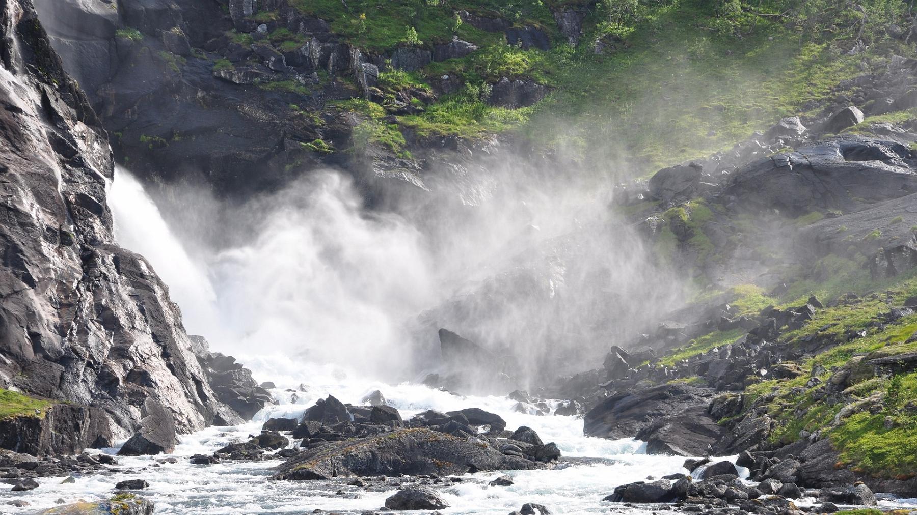 2014-07-25_043.JPG - PeBov 2014