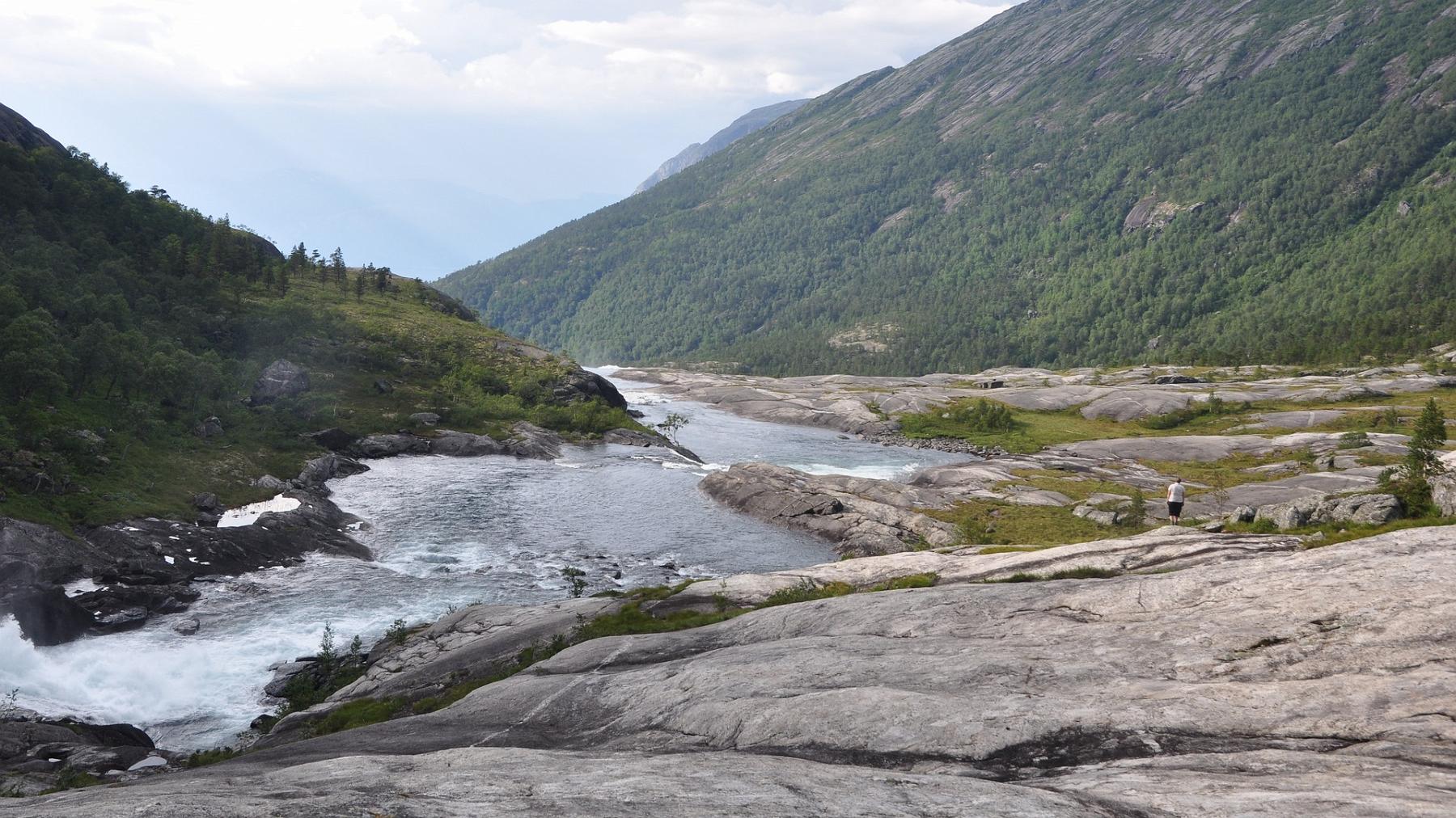 2014-07-25_073.JPG - PeBov 2014