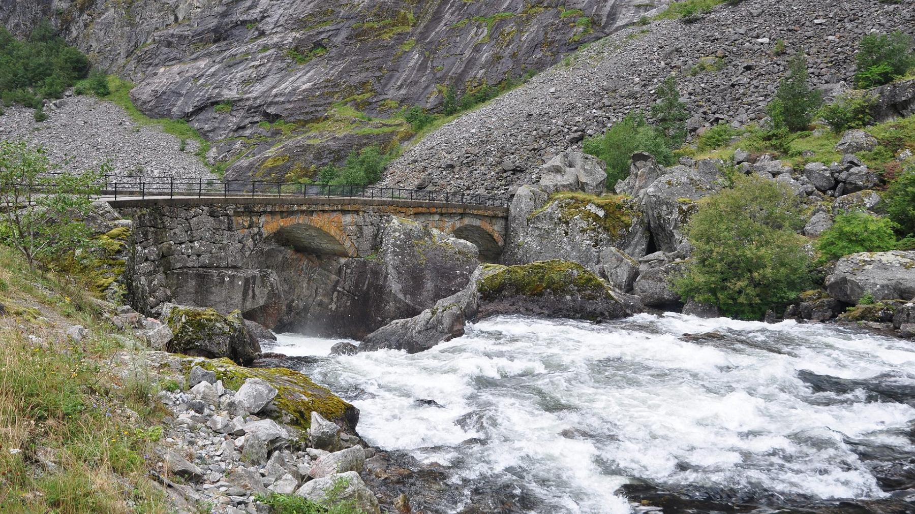 2014-07-27_046.JPG - PeBov 2014