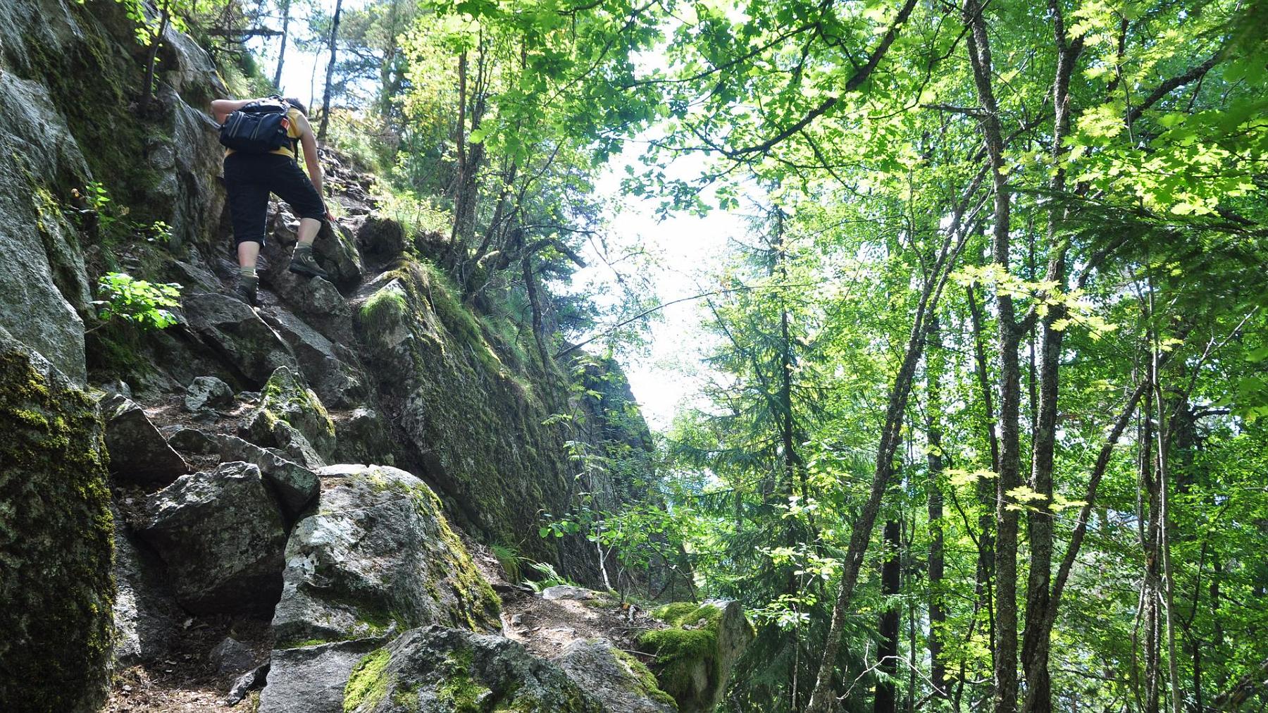 2014-07-29_010.JPG - PeBov 2014