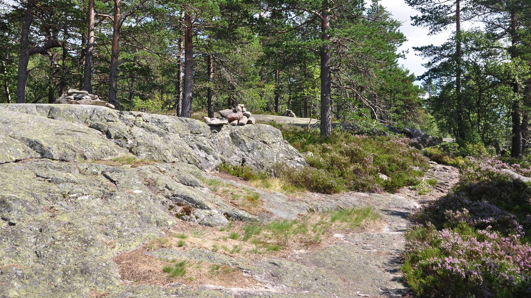 2014-07-29_022.JPG - PeBov 2014