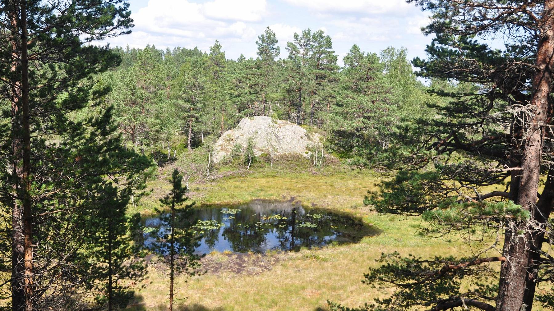 2014-07-29_024.JPG - PeBov 2014