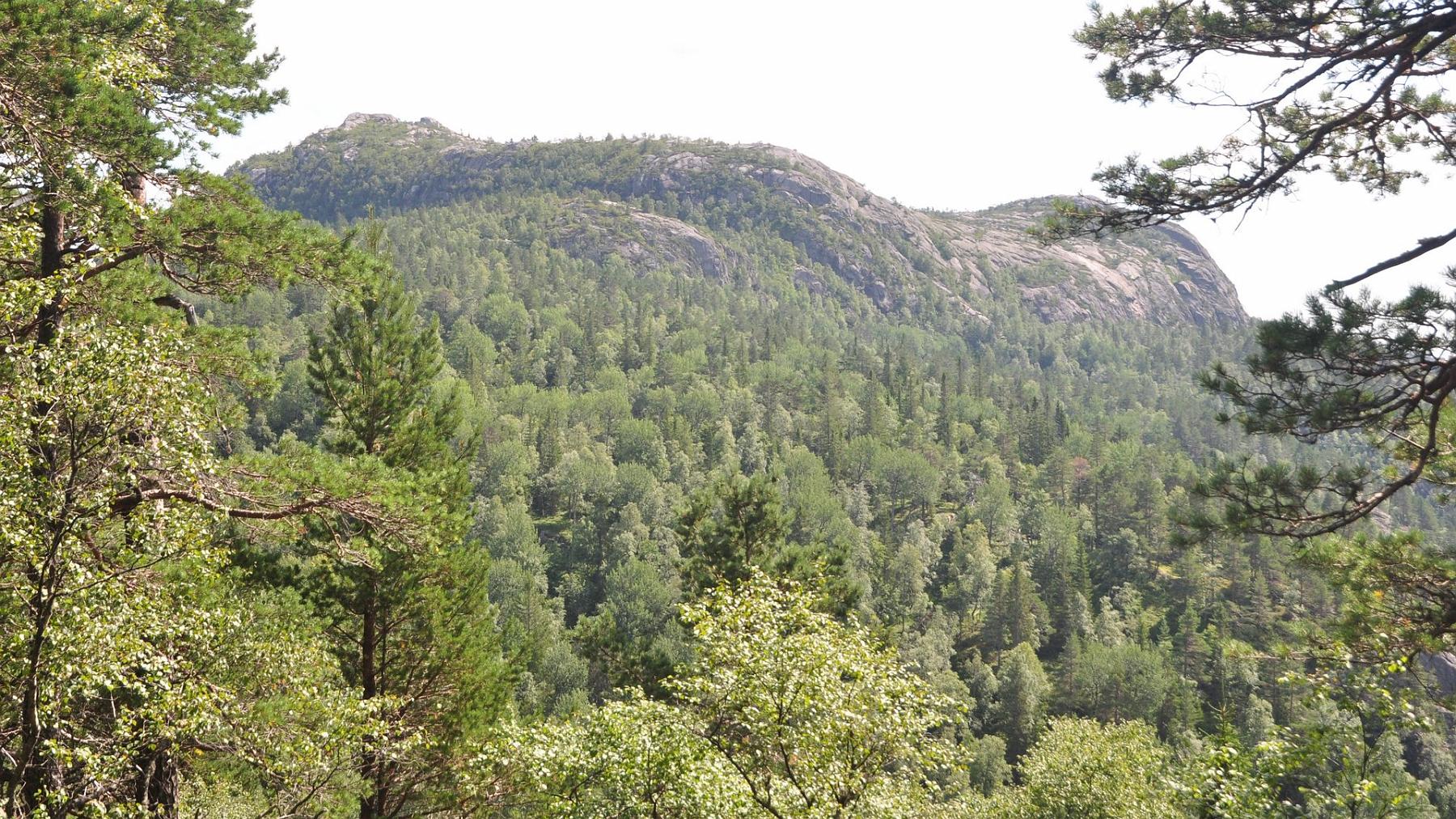 2014-07-29_026.JPG - PeBov 2014