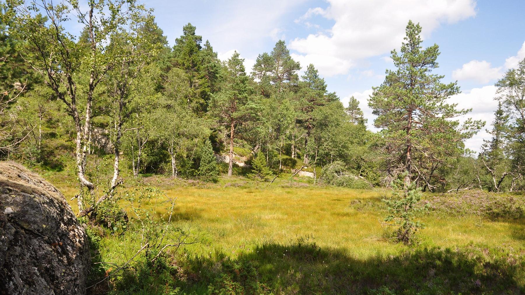 2014-07-29_029.JPG - PeBov 2014