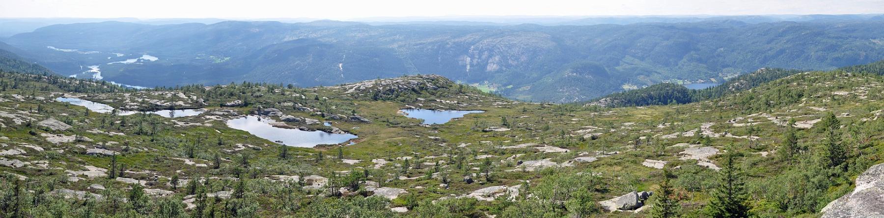 2014-07-29_073-078-smart.jpg - PeBov 2014