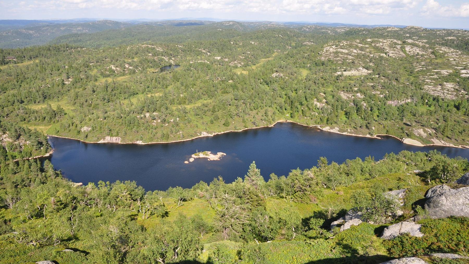 2014-07-29_080.JPG - PeBov 2014