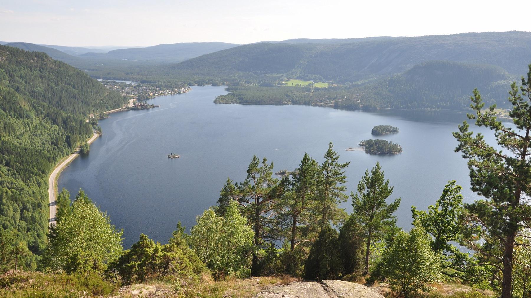 2014-07-29_093.JPG - PeBov 2014