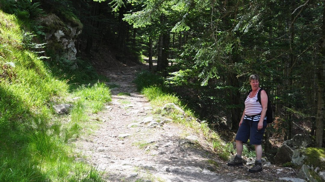 2015-07-17_002.jpg - PeBov 2015