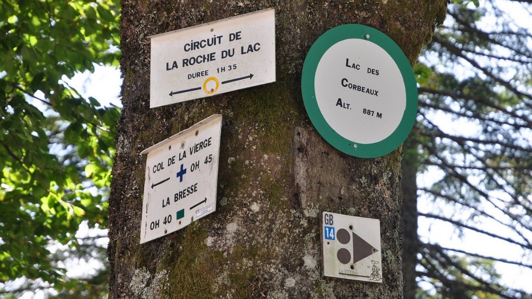 2015-07-17_004.jpg - PeBov 2015