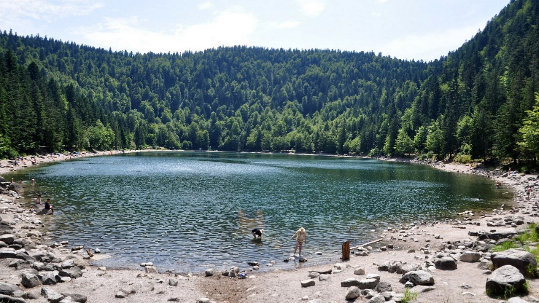 2015-07-17_005.jpg - PeBov 2015